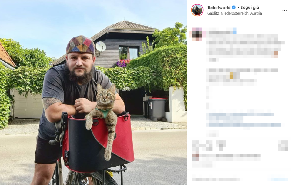 Nala, così Dean ha deciso di chiamare la gattina abbandonata diventata sua compagna di viaggio, ha girato il mondo dentro il cestino della bicicletta. La coppia ha percorso insieme più di 16mila chilometri con Nala che si è avventurata in funivia e si è persino divertita a fare kayak.