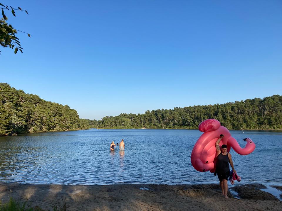 A mellow August evening at Long Pond in Wellfleet. The flamingo heads out and I head in for a restorative swim.