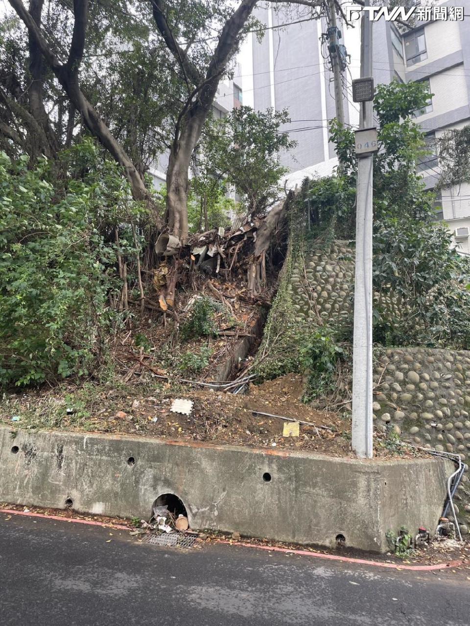 新竹市日前發生路樹倒塌壓倒一對夫妻，妻子不幸在起身後又被倒塌電桿擊中導致傷重身亡，立委鄭正鈐介入協調後邀高公局到辦公室協助釐清問題爭點。（圖／鄭正鈐辦公室）