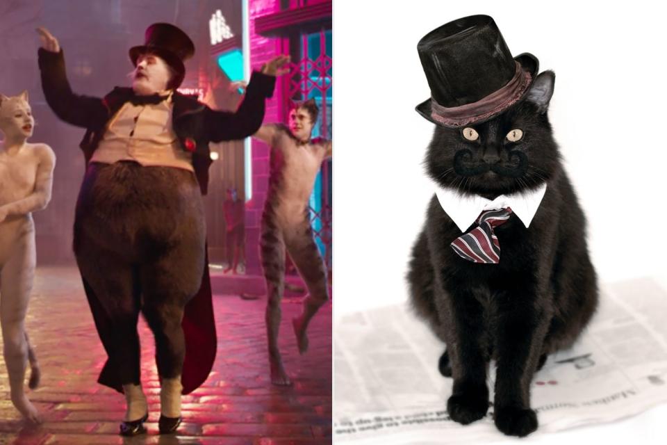 James Corden as Bustopher Jones v. This Cat Who Is Also Not Skin and Bones 