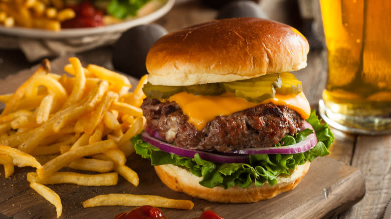 Bison burger and fries