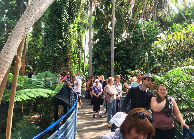 Large queues developed to get a glimpse – and smell – of the rare flower. Source: 7News