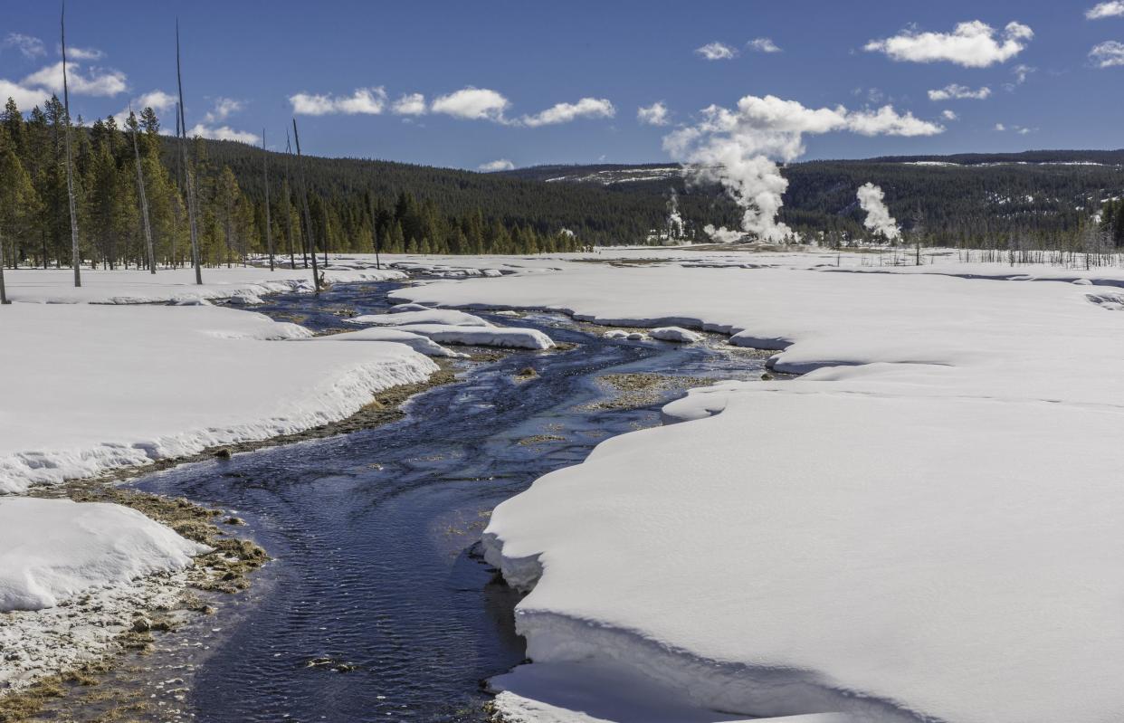 Lower Geyser Basin views from Yellowstone National Park in the winter with snow.