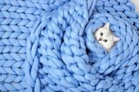 <p>An adorable cat and a huge chunky knit blanket? We just want to dive right into this photo. </p>