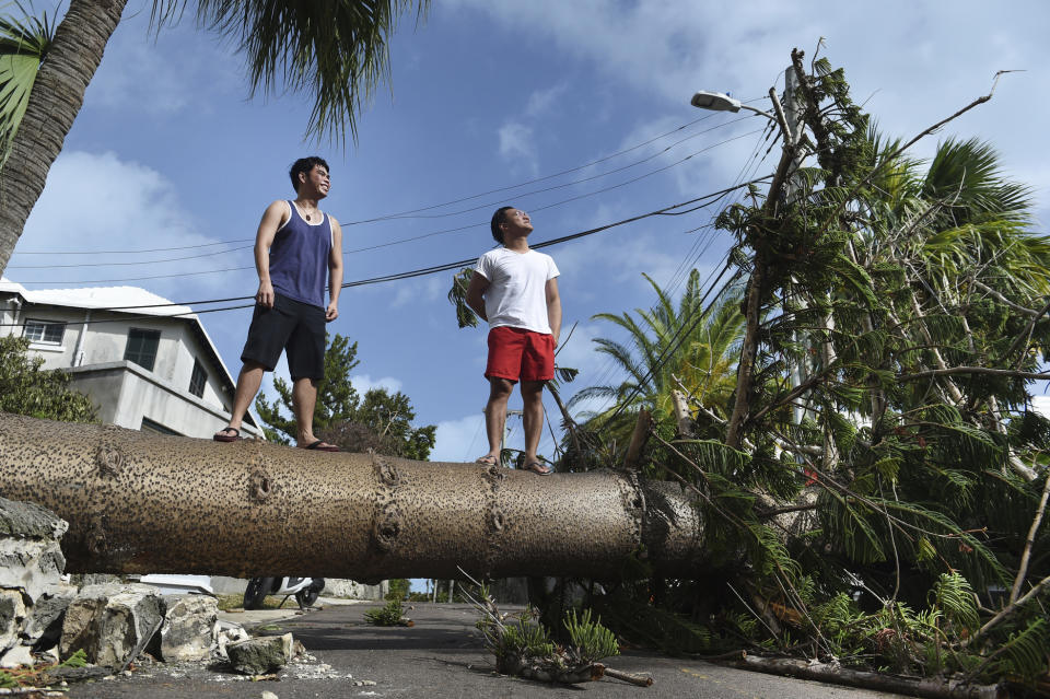 Men stand on a tree felled by Hurricane Humberto, on Pitts Bay Road in Hamilton, Bermuda, Thursday, Sept. 19, 2019. Humberto blew off rooftops, toppled trees and knocked out power but officials said Thursday that the Category 3 storm caused no reported deaths. (AP Photo/Akil J. Simmons)