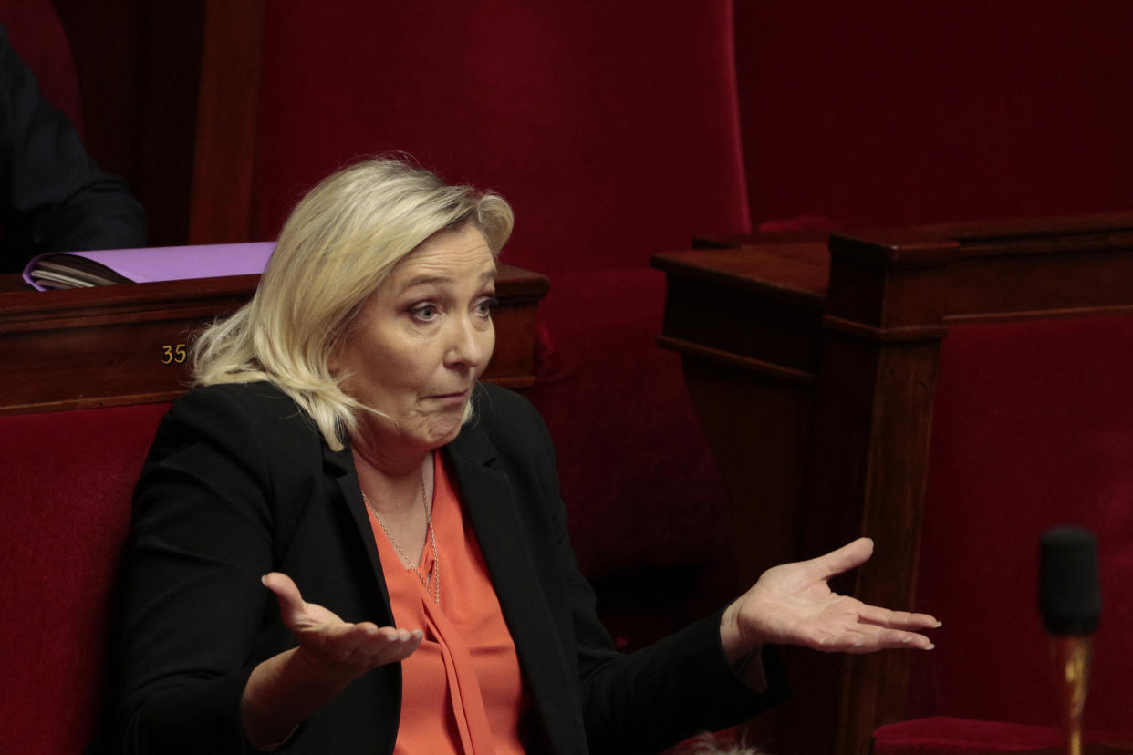 Marine Le Pen à l'Assemblée nationale (Photo by Geoffroy VAN DER HASSELT / AFP)