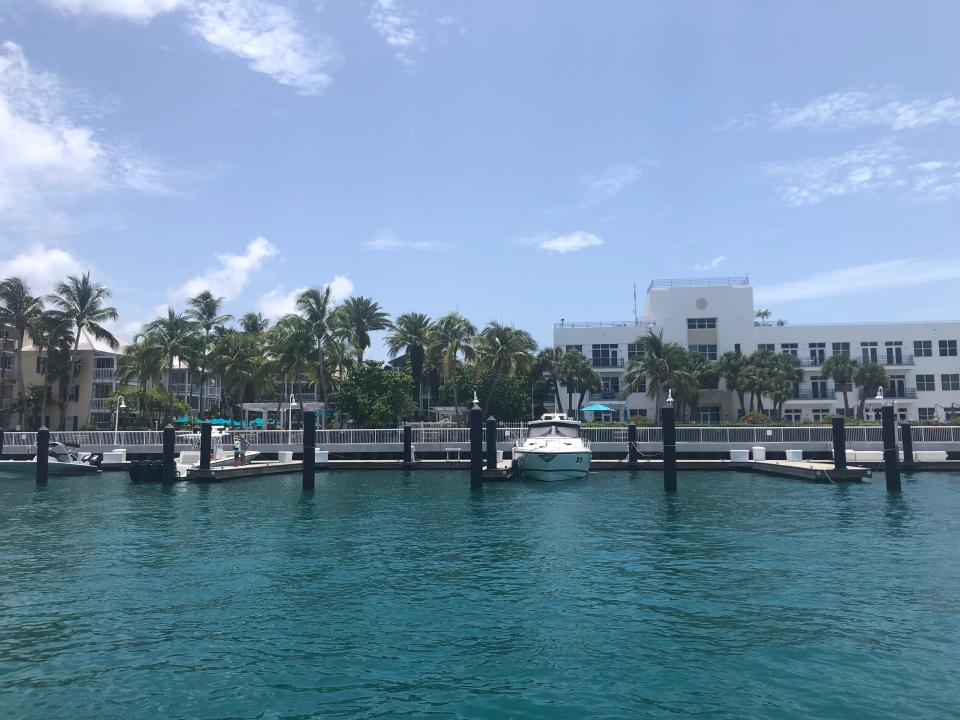 View of palm-tree lined dock from the catamaran the author is on