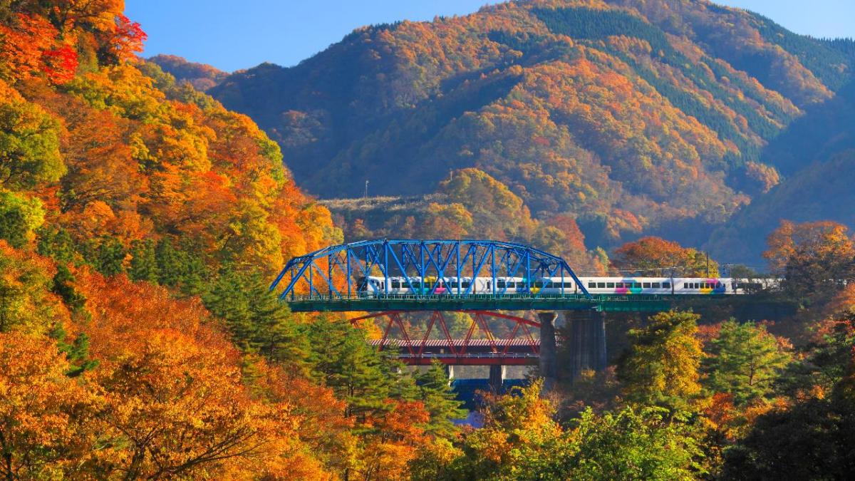 5 Amtrak Rides With Spectacular Fall Foliage Views [Video]