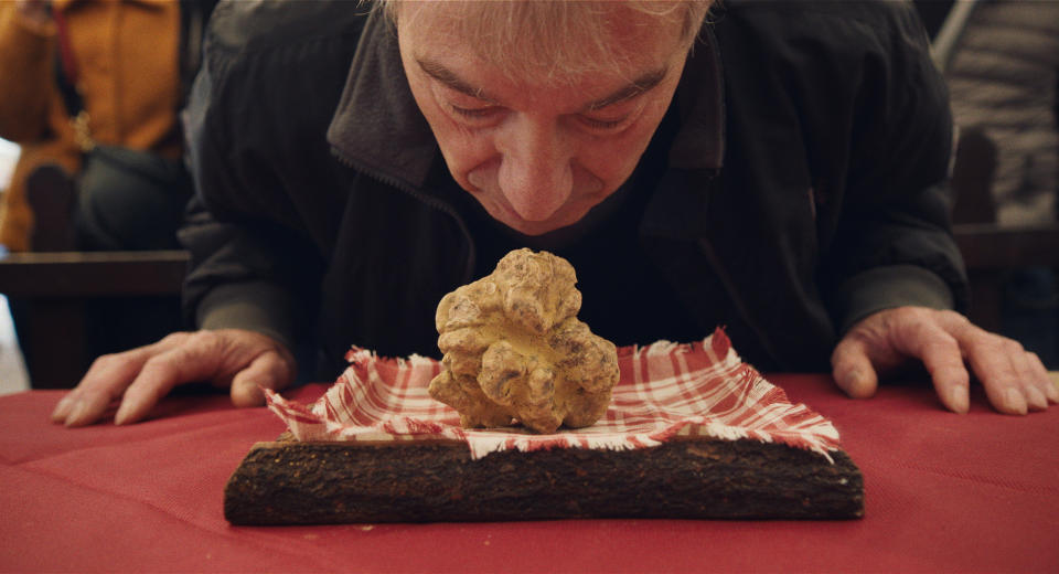 The white Alba truffle is found in the Piedmont region of Italy. (Photo: Sony Pictures Classics)