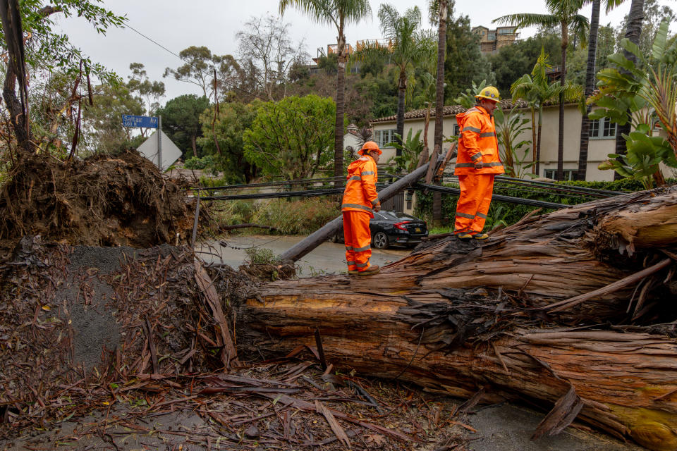 Here, Los Angeles Department of Water and Power crew members respond to a fallen tree in the Brentwood neighborhood of Los Angeles on Feb. 6.
