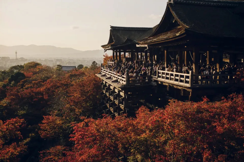 37%&#x004eac;&#x0090fd;&#x004eba;&#x008868;&#x00793a;&#x006703;&#x005728;&#x00300c;&#x005bfa;&#x0053ca;&#x00795e;&#x00793e;&#x00300d;&#x00ff0c;&#x006bcf;&#x005e74;&#x007d05;&#x008449;&#x005b63;&#x004eac;&#x0090fd;&#x007684;&#x006e05;&#x006c34;&#x005bfa;&#x003001;&#x005317;&#x0091ce;&#x005929;&#x006eff;&#x005bae;&#x003001;&#x007409;&#x007483;&#x005149;&#x009662;&#x007b49;&#x00666f;&#x009ede;&#x0090fd;&#x00805a;&#x006eff;&#x008cde;&#x006953;&#x004eba;&#x0058eb;&#x003002;