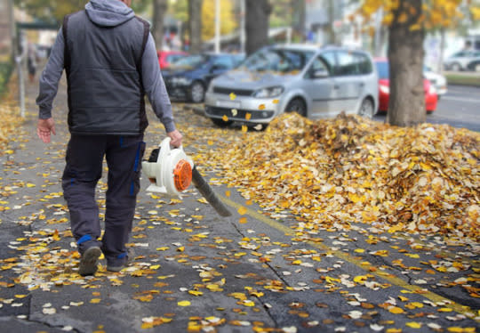 Leaf Vacuum Mulcher and Blower: Black and Decker LSWV36 Review : u