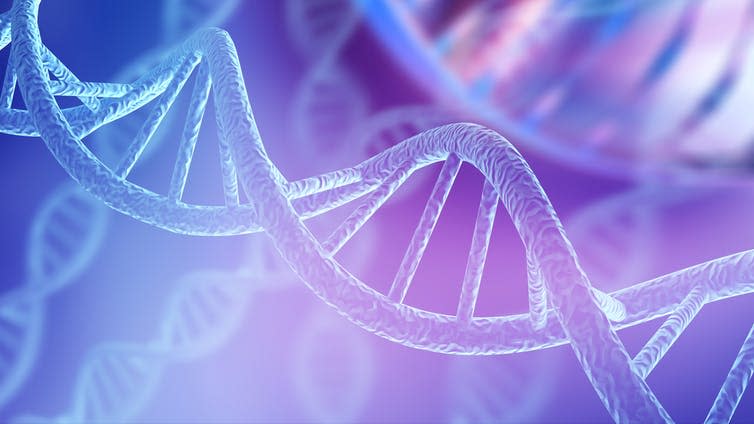 <span class="caption">DNA methylation is the addition of methyl groups to a DNA molecule.</span> <span class="attribution"><span class="source">Billion Photos/Shutterstock</span></span>