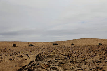 Cattle killed by wildfires lie in burned pastures near Higgins, Texas, March 12. REUTERS/Lucas Jackson