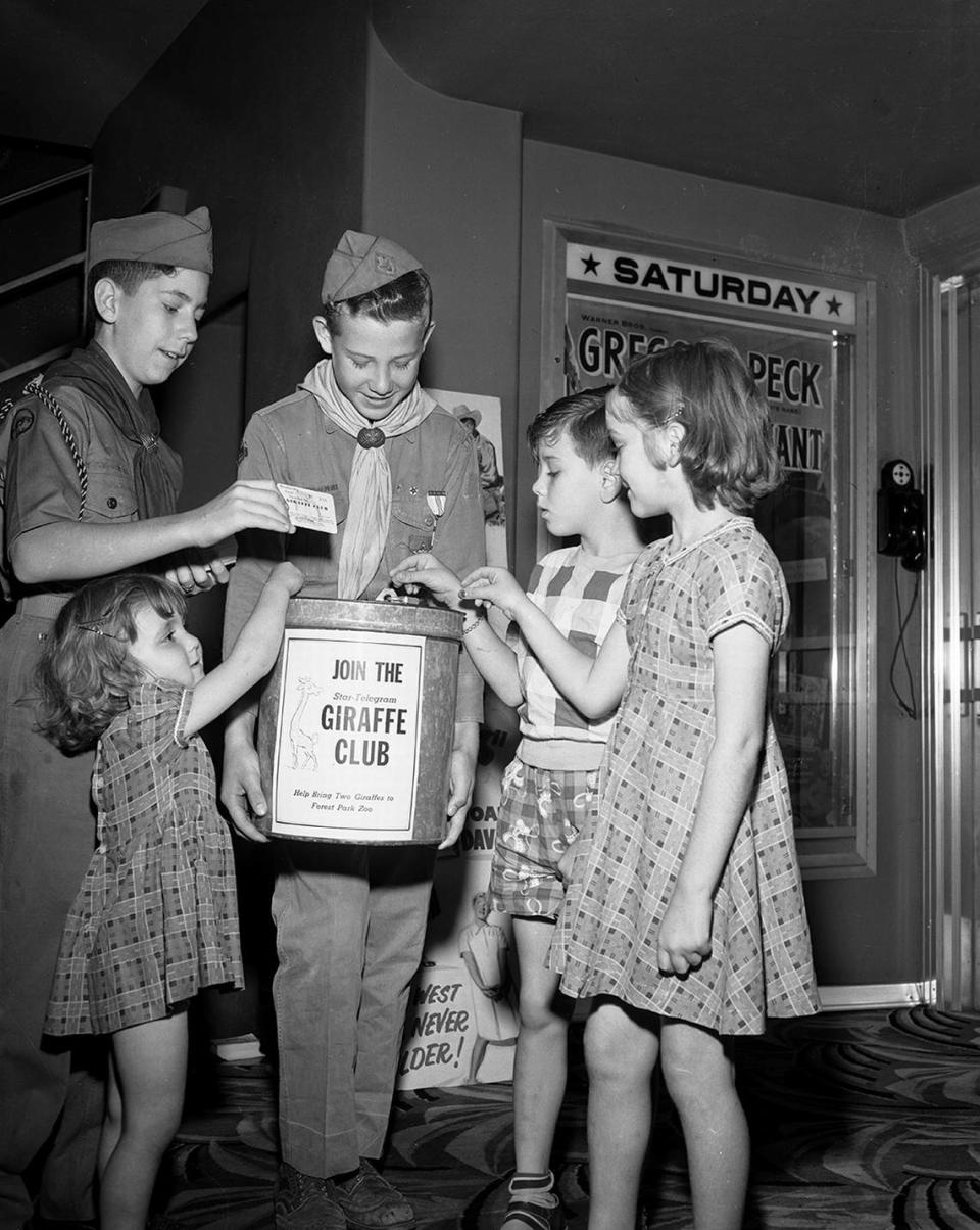 June 2, 1951: Doing their bit to bring two giraffes to Forest Park Zoo, Jeanie Vedder, 3, Tommy Ray, 8, and Ruth Vedder, 7, drop dimes in donation box at Parkway Theater. Bud Sweeney, left, and Robert Hunter of Boy Scout Troop 32 manned the box. Other scouts were on duty with donation boxes at six other theaters.