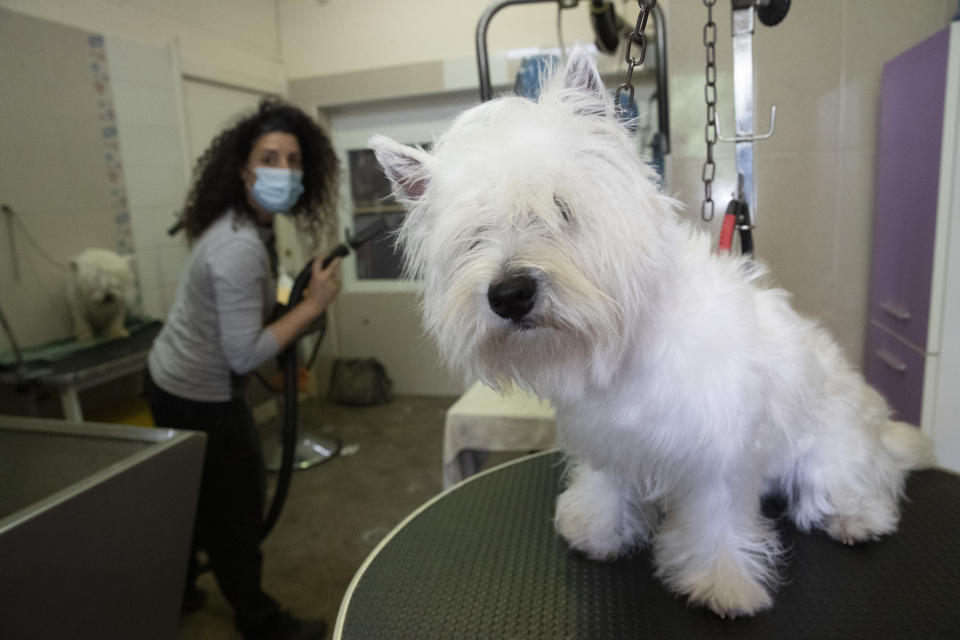 Pets at Home, the animal and pet accessories retailer, received over £28m in business rates relief. Photo: Alessandra Tarantino/AP