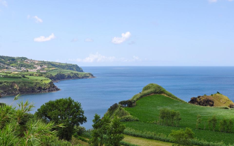 Capelas on Sao Miguel island - Rui Almeida Fotografia/Moment RF