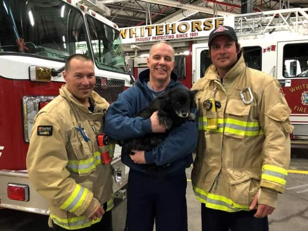 Whitehorse firefighters with Manny, a dog they recently rescued from a deep crevice in a snow pile. (Submitted by the Whitehorse Fire Department - image credit)