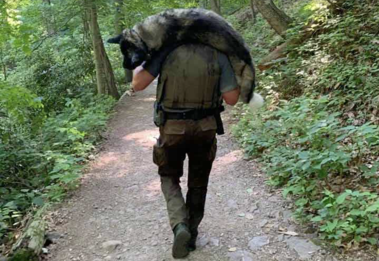 Supervisory Park Ranger Kris Salapek carried a dehydrated dog to safety in the mountainous hills of the Delaware Water Gap National Recreational Area last week. (Lexie Daniel via Good News Network)