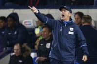 Britain Football Soccer - West Bromwich Albion v Swansea City - Premier League - The Hawthorns - 14/12/16 West Brom manager Tony Pulis gestures Reuters / Peter Nicholls Livepic