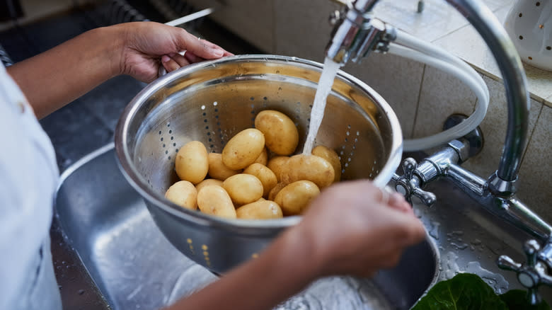 Person washing potatoes