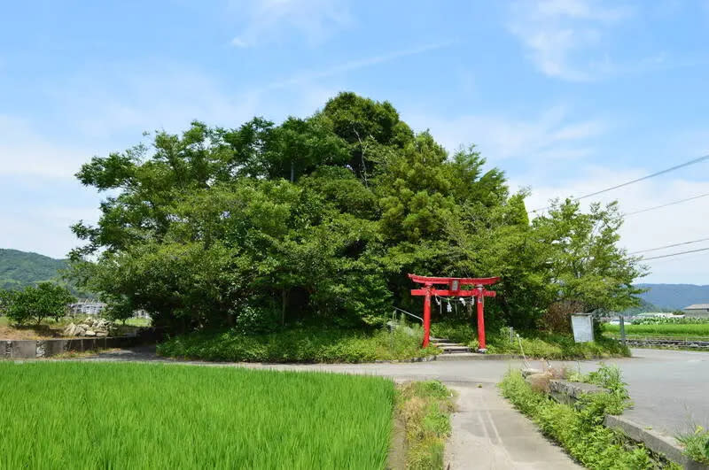 ▲日本德島「辯天山」（弁天山），其海拔僅有6.1公尺，被視為日本最矮的山，每年卻能吸引萬人朝聖。（圖／擷取自Wikimedia Commons）