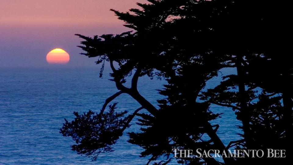 The sun sets over the ocean and the cypress trees at Esalen Institute in Big Sur.