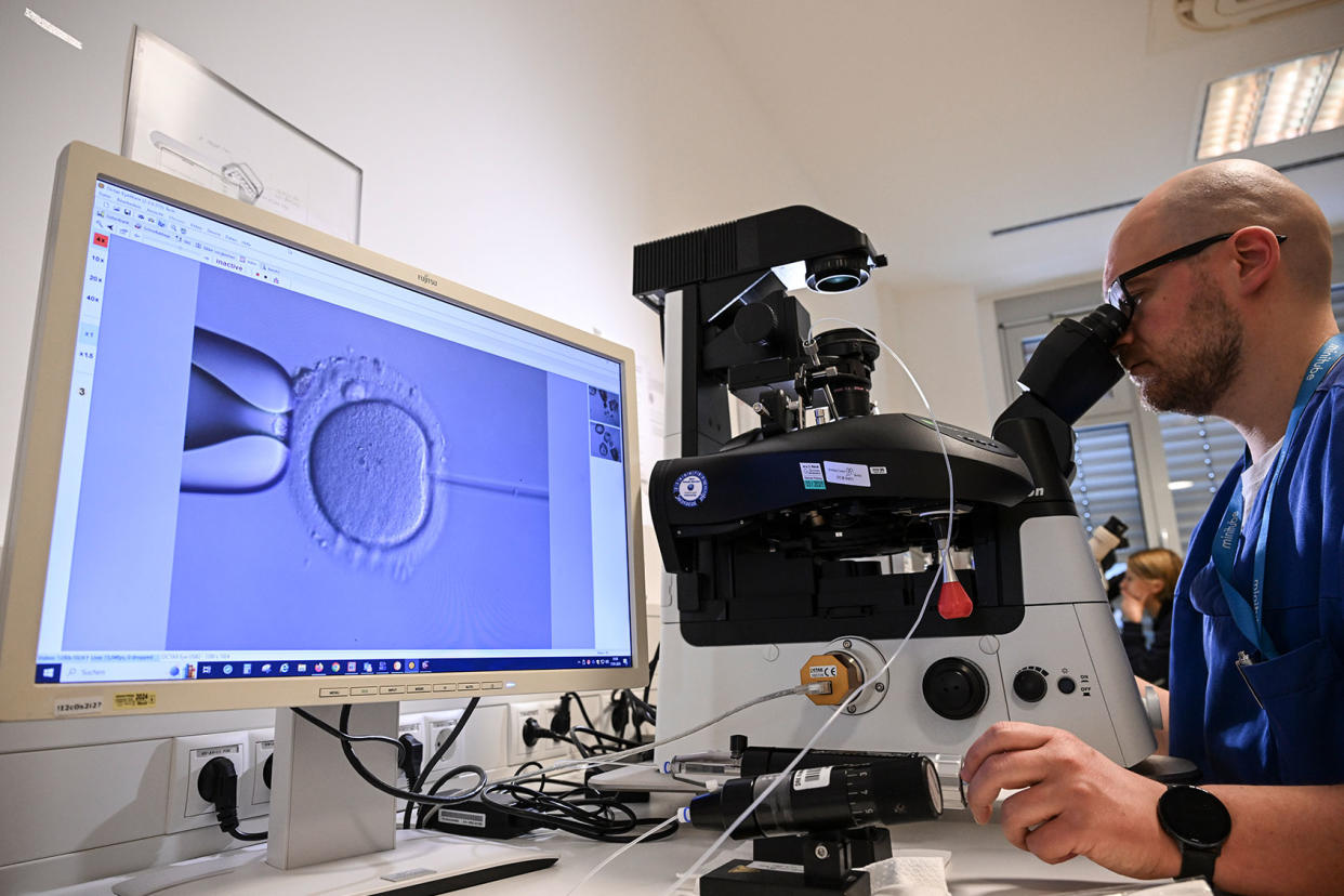 IVF cell laboratory fertilize egg Jens Kalaene/picture alliance via Getty Images