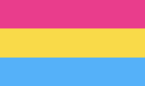 <p><em><a href="https://www.pinknews.co.uk/2018/06/26/all-of-the-flags-you-might-see-at-pride-and-what-they-mean/" rel="nofollow noopener" target="_blank" data-ylk="slk:Pink News;elm:context_link;itc:0;sec:content-canvas" class="link ">Pink News</a></em> says it's unclear who actually created this flag, but ever since it started showing up online in 2010, it's become a symbol of attraction to all genders. </p>