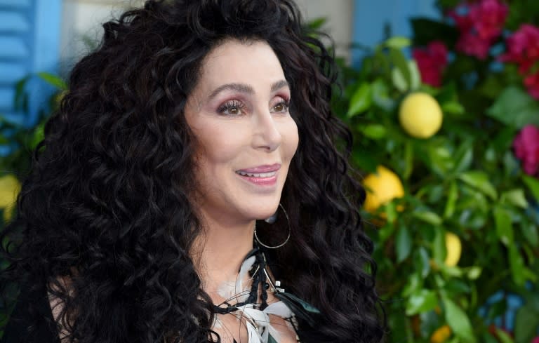 Cher, pictured at the world premiere of the film "Mamma Mia! Here We Go Again" in London, has picked up numerous awards in film and music