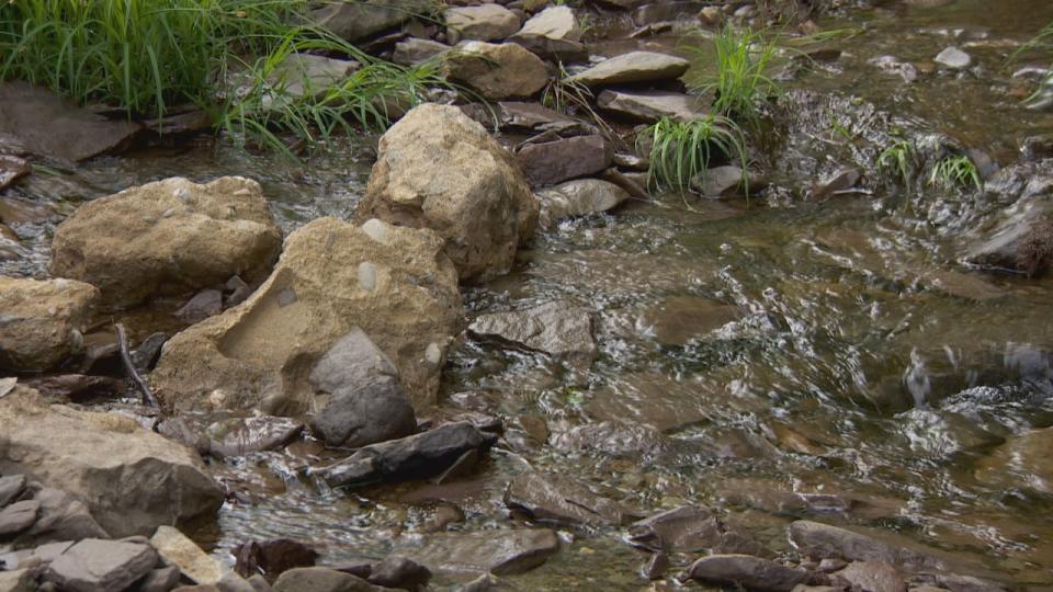 Hickie says a lot of cement has washed up in this area near his home. This photo shows a couple of big concrete boulders sitting in the stream.