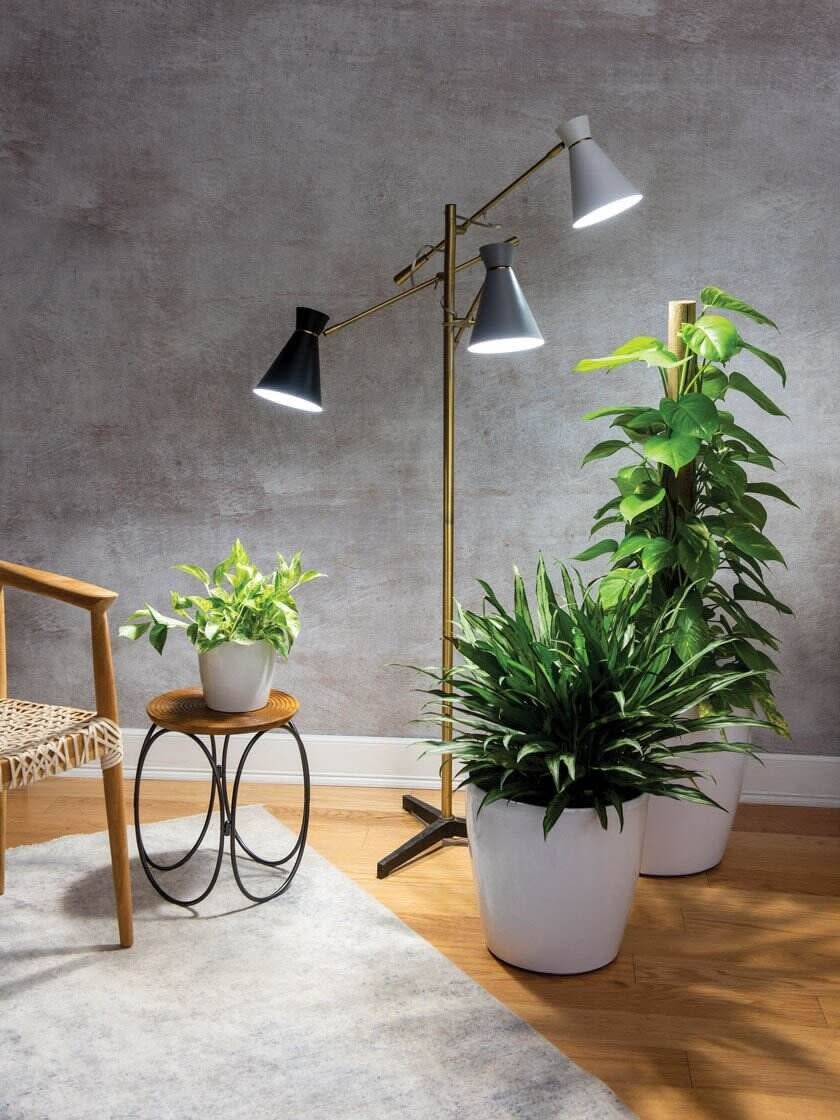 4) Adjustable 3-Arm Grow Lamp