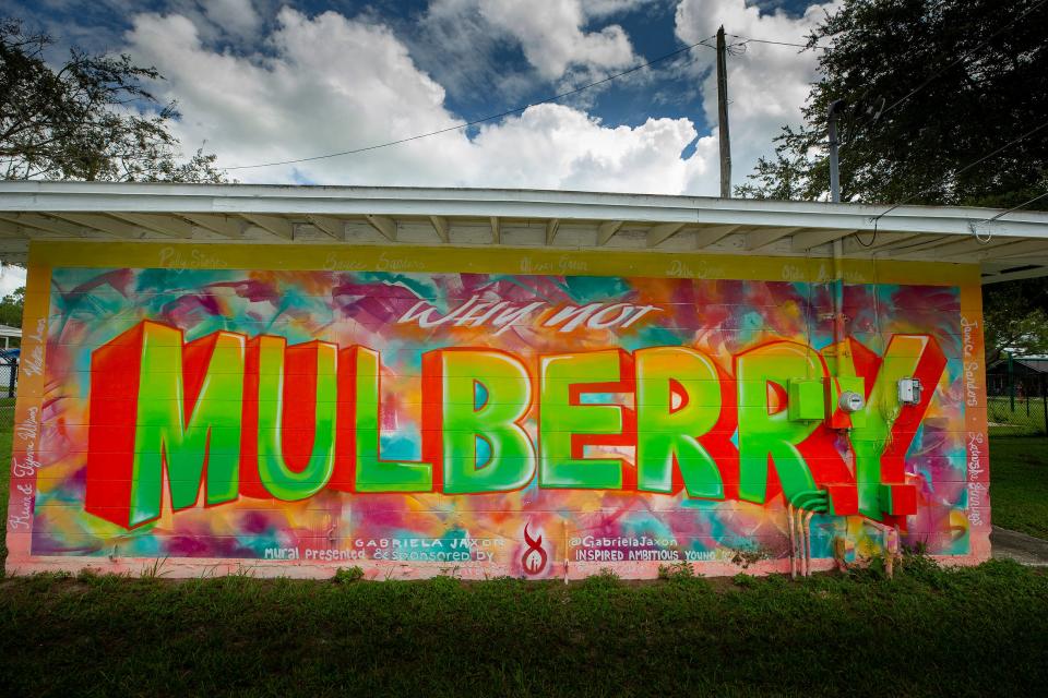 Lakeland artist Gabriela Jaxon painted a first mural on a small building at Spence Park in Mulberry, commissioned by Inspired Ambitious Young Believers. Lee Amos, founder of the group, said he wants children from Mulberry to believe they can accomplish anything they want.