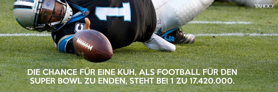 20 Dinge, die Sie über den Super Bowl noch nicht wussten