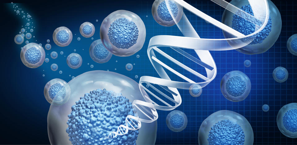 Regenerative medicine and therapeutic stem cell therapy to regrow damaged cells as treatment for disease as multicellular organisms for cellular treatment of injury or arthritis illness due to aging with 3D illustration.