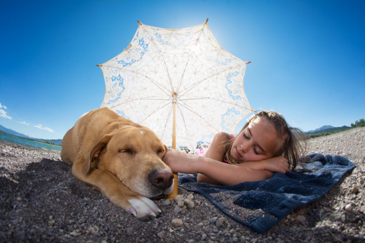 Las mascotas también necesitan un lugar fresco en la temporada de calor/Getty Images.