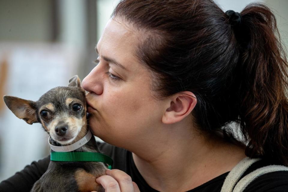 A closeup of a woman holding and kissing a small dog as it looks away