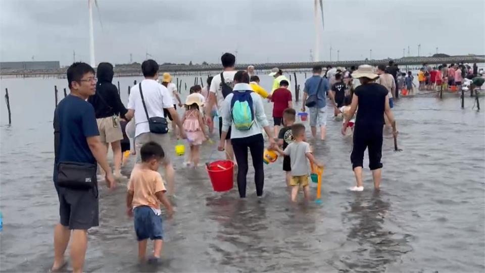 超人氣彰化「挖海蛤」活動搶先登場！　破千人湧入免費體驗