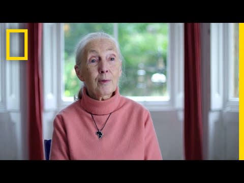 46) Jane Goodall: The Hope