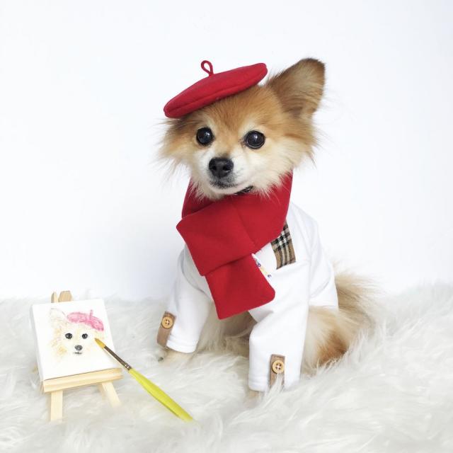 Dog Hoodie Fashion Victim Luxury Pet Clothes Trendy Famous brand exclusive