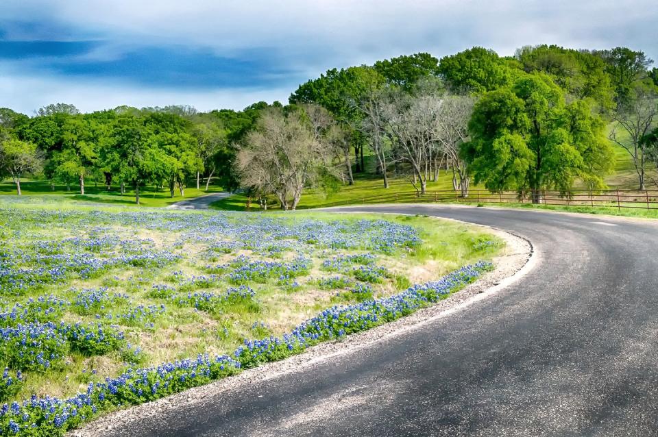 best scenic drives texas bluebonnet trail