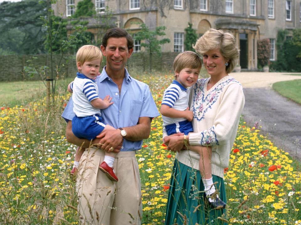 prince charles princess diana harry william