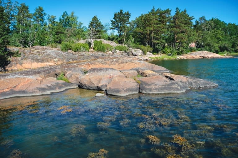 Des algues sont visibles sous la surface dans la zone de recherches de la station zoologique de Tvarminne (TZS), à Hanko, en Finlande, le 26 juin 2024 (Alessandro RAMPAZZO)