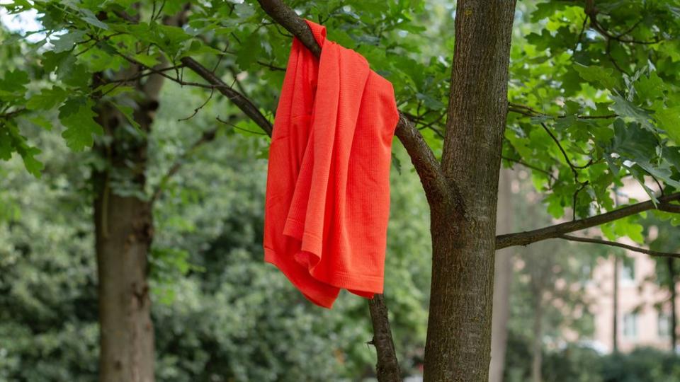 Camiseta colgada de un árbol