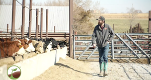 Ben Row, farm manager at Talcott Land and Cattle outside of Lincoln, Nebraska, participated in a study of the Amino balancing program, with a cost of gain is around $0.71, from about $1.20.