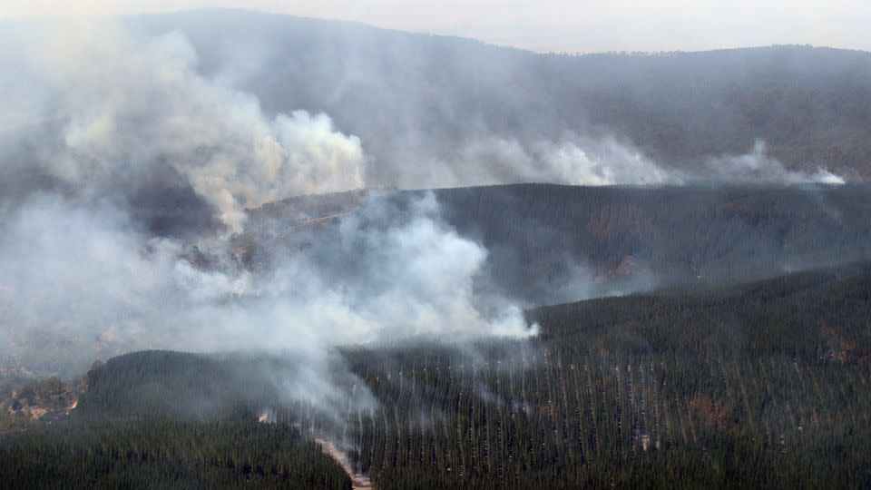 Bushfires in Victoria, Australia have been burning since February 22, 2024. - AAP Image/David Crosling/Reuters