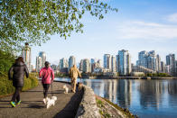 <p>Si tu perrito es apto para los climas fríos, Canadá lo recibirá en sus grandes parques y playas destinados para ese fin. Tiene resorts de ski <em>pet-friendly</em> y refugios muy buenos para dejarlo durante el día. Foto: David Hanson / Getty Images </p>