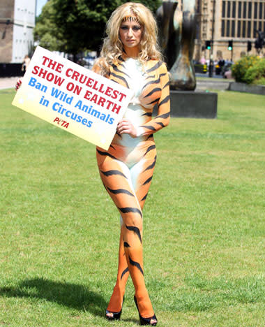 LONDON, ENGLAND - JUNE 07: Chantelle Houghton joins the PETA protest against Government Inaction to stop documented abuse of animals and their decision not to ban wild animals in circuses, on June 7, 2011 in London, England. (Photo by Mike Marsland/WireImage)