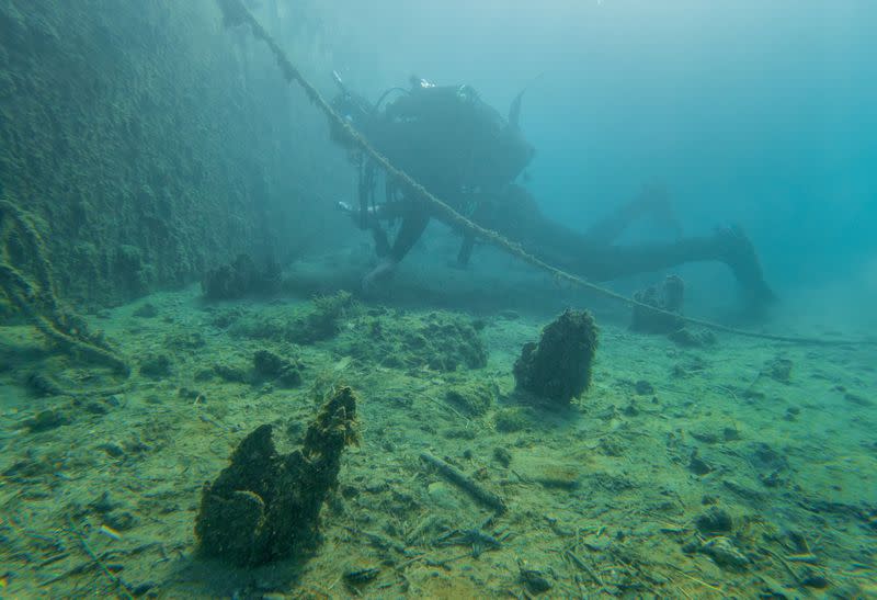 Sandro Dujmovic inspects dead Pinna nobilis seashells in Vrsar harbor