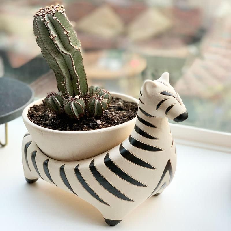 2) Zebra Savannah Garden Pot